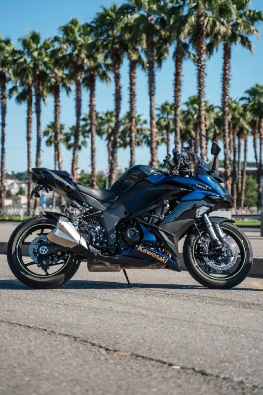 Синий спортивно-туристический Kawasaki под пальмами